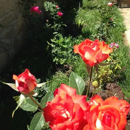 Zapovedni Rai 普里莫尔斯科