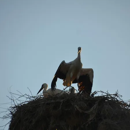 Vendégház Zapovedni Rai 4*
