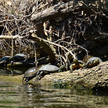 Zapovedni Rai 招待所 普里莫尔斯科