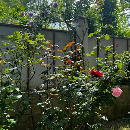 Zapovedni Rai 招待所 普里莫尔斯科