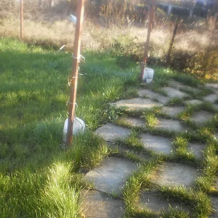 Zapovedni Rai Pensión 4*