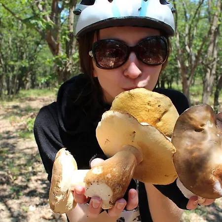 Zapovedni Rai 普里莫尔斯科