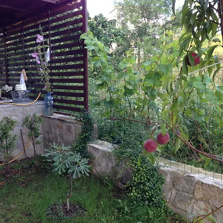Guest house Zapovedni Rai Primorsko