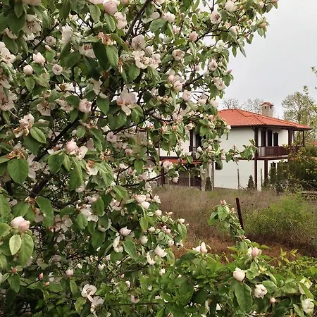 Guest house Zapovedni Rai