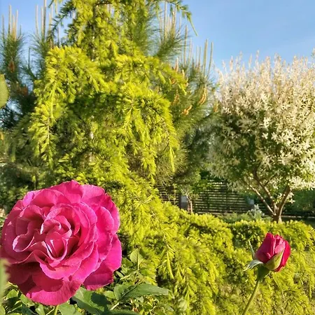 Guest house Zapovedni Rai Primorsko