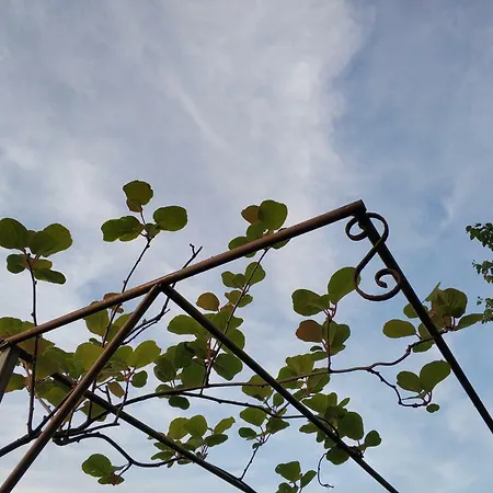 招待所 Zapovedni Rai 普里莫尔斯科