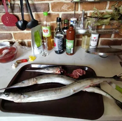 Gæstehus Zapovedni Rai