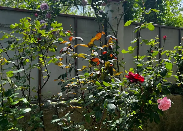 Zapovedni Rai Gæstehus Primorsko