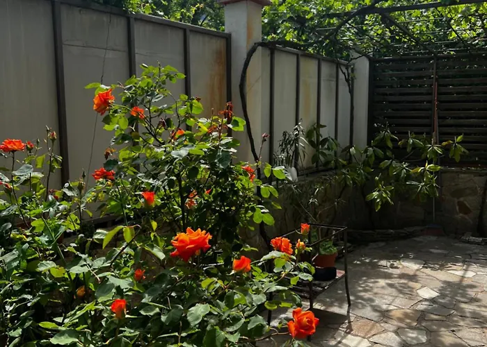 Gæstehus Zapovedni Rai 4*