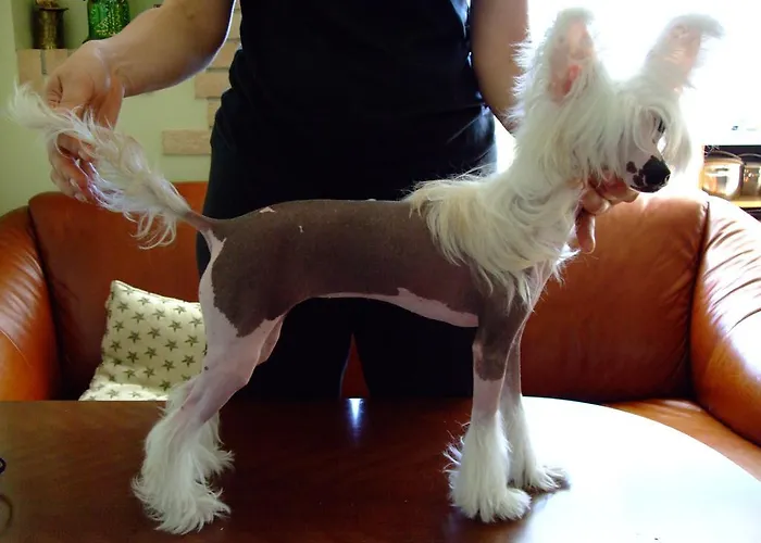 Gæstehus Zapovedni Rai Primorsko