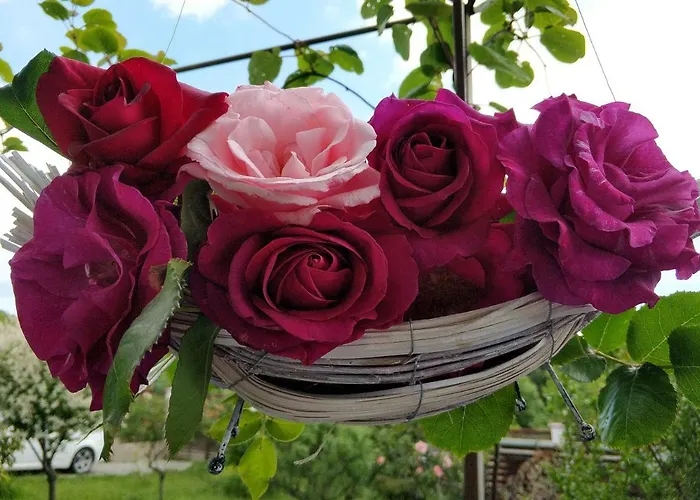 Zapovedni Rai Gæstehus Primorsko