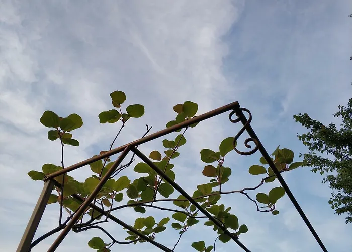 Gæstehus Zapovedni Rai Primorsko