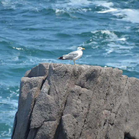 Гостевой дом Zapovedni Rai Приморско