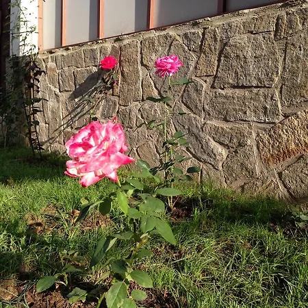 Гостевой дом Zapovedni Rai