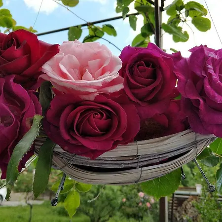 Zapovedni Rai Гостевой дом Приморско