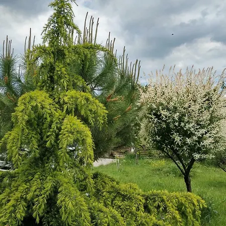 Zapovedni Rai Гостевой дом 4*