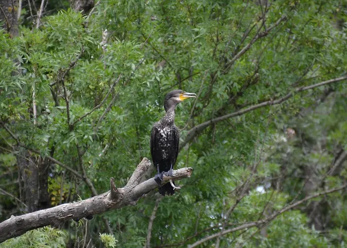 Guest house Zapovedni Rai Primorsko