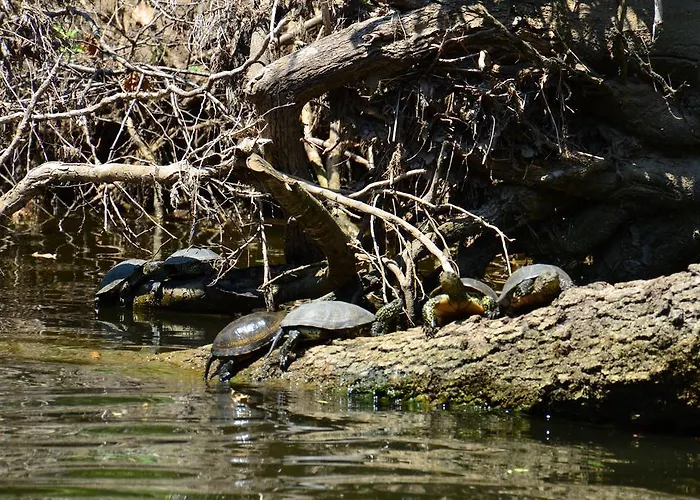 Zapovedni Rai Guest house Primorsko