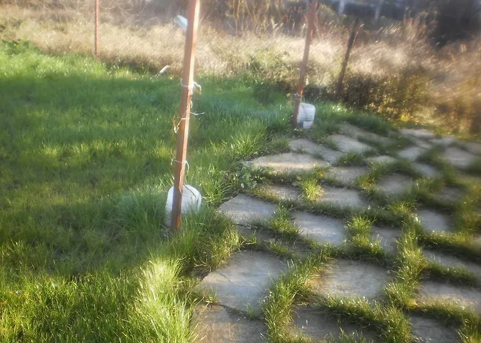 Zapovedni Rai Guest house 4*