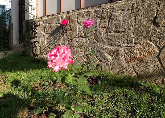 Guest house Zapovedni Rai